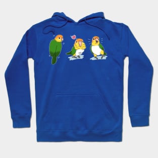 Three white bellied caique doodles Hoodie